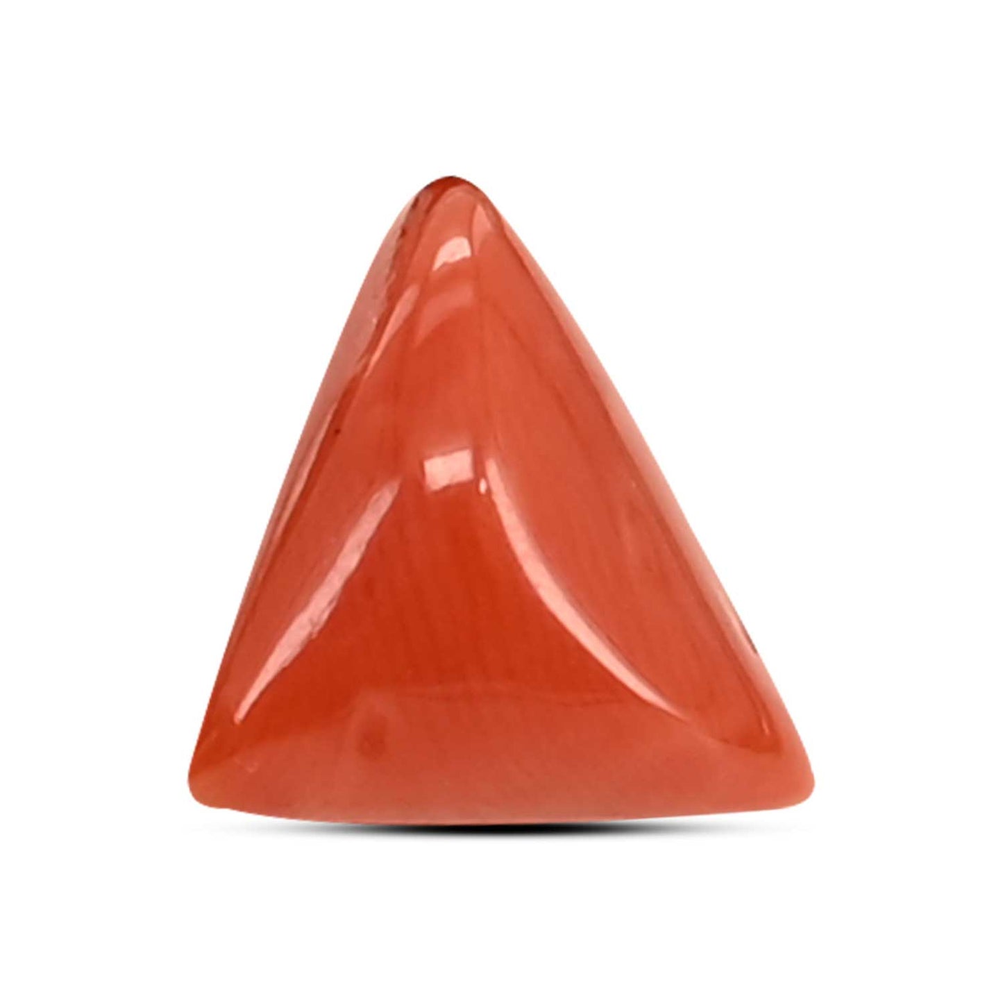 Red Coral (Moonga) Carat 3.64