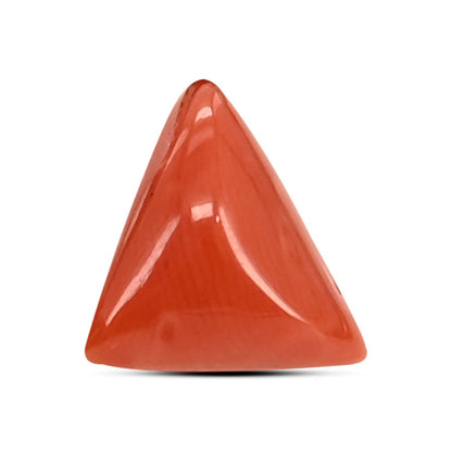 Red Coral (Moonga) Carat 3.64