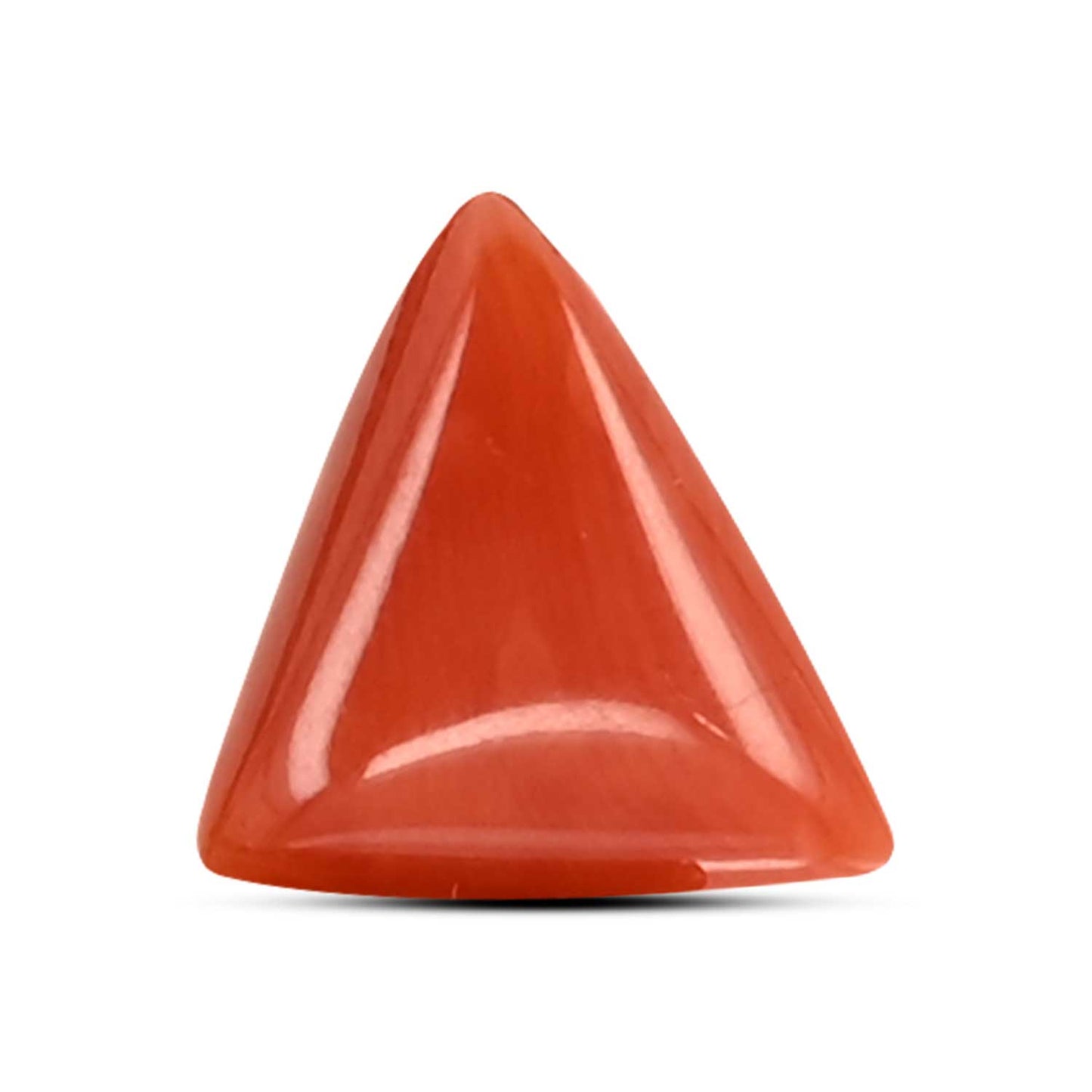 Red Coral (Moonga) Carat 3.64