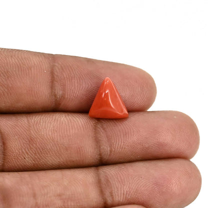 Red Coral (Moonga) Carat 3.64