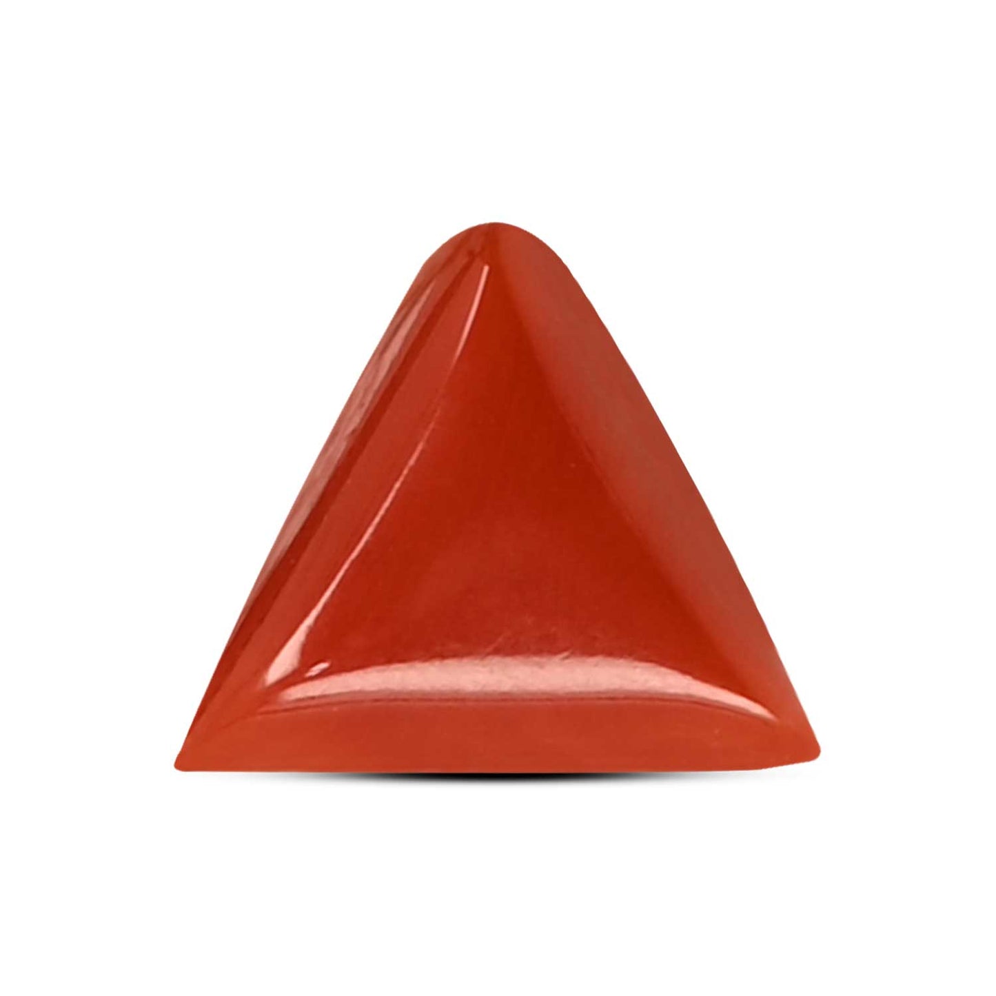 Red Coral (Moonga) Carat 3.8