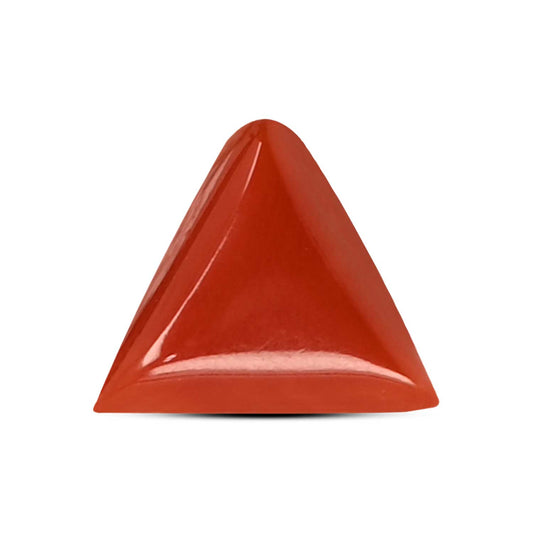 Red Coral (Moonga) Carat 3.8