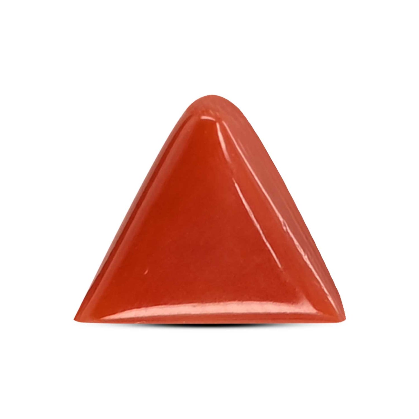 Red Coral (Moonga) Carat 3.8