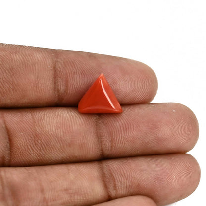 Red Coral (Moonga) Carat 3.8