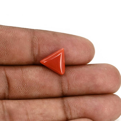 Red Coral (Moonga) Carat 3.8
