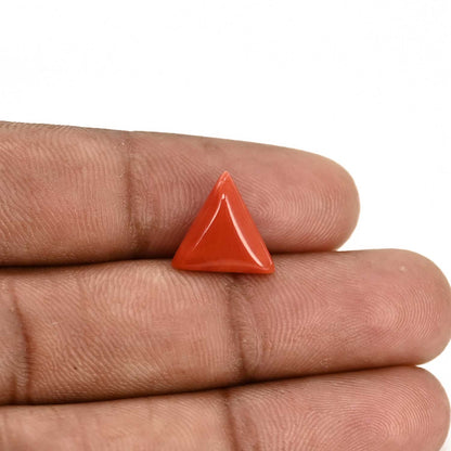 Red Coral (Moonga) Carat 3.8