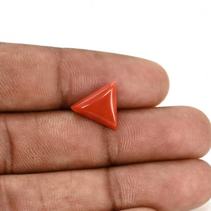 Red Coral (Moonga) Carat 3.8