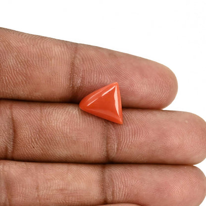 Red Coral (Moonga) Carat 4.23