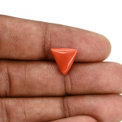 Red Coral (Moonga) Carat 4.23