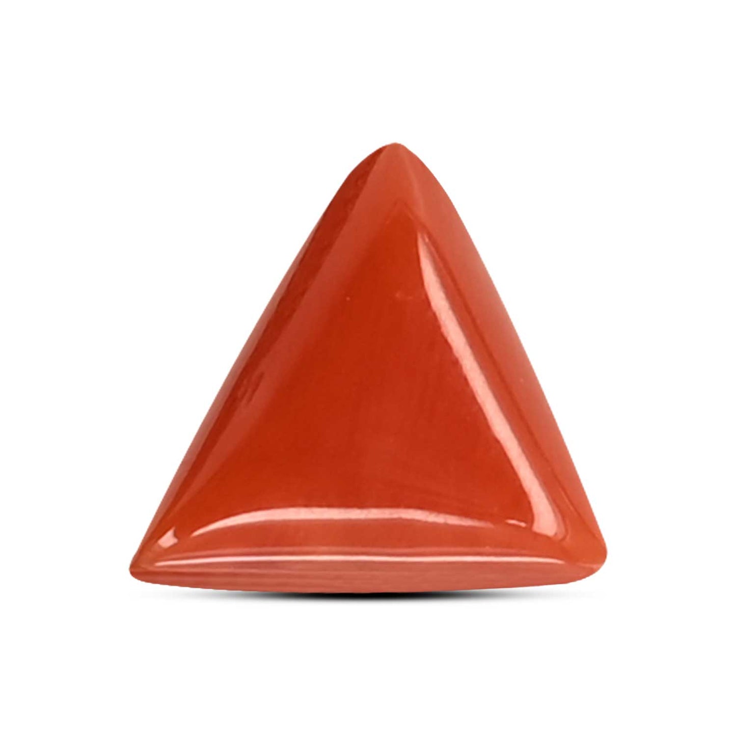 Red Coral (Moonga) Carat 3.76