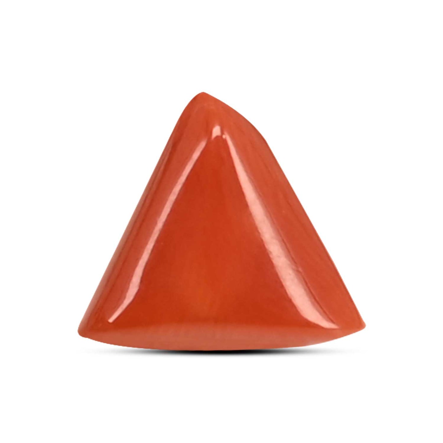 Red Coral (Moonga) Carat 4.19