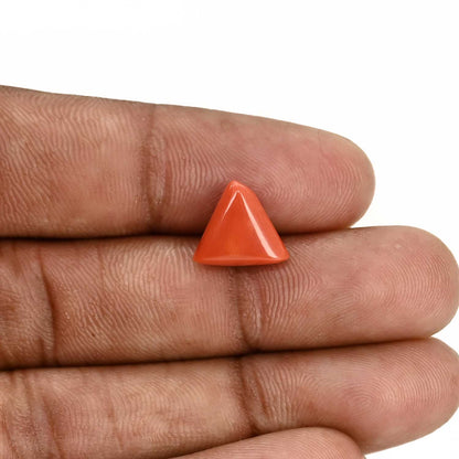 Red Coral (Moonga) Carat 4.19