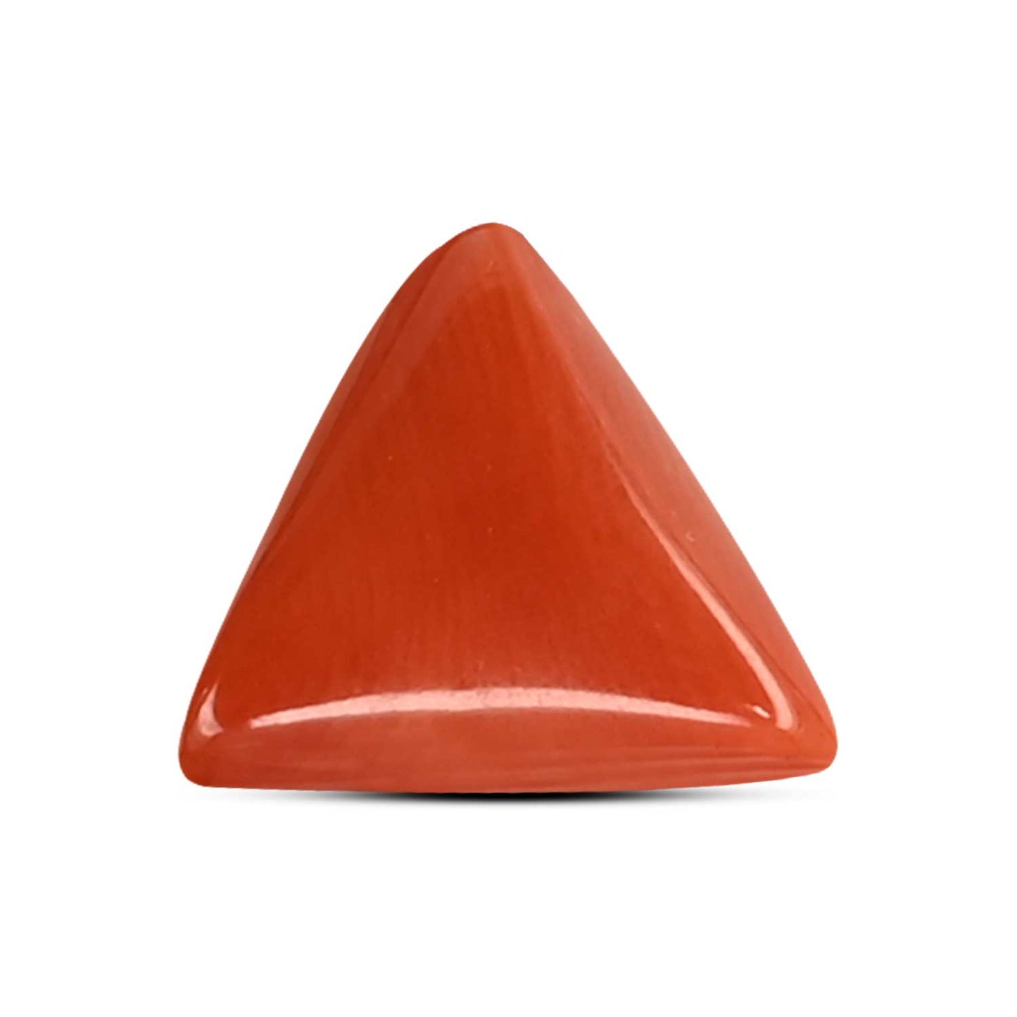 Red Coral (Moonga) Carat 4.25