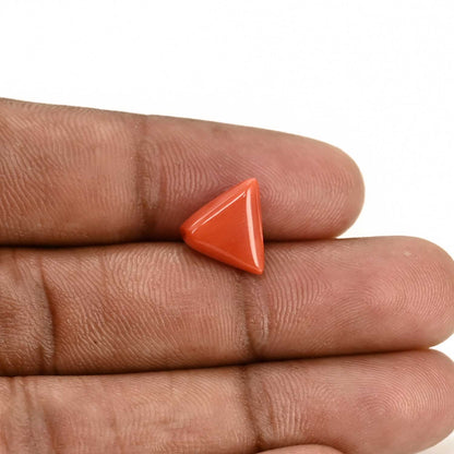 Red Coral (Moonga) Carat 4.25