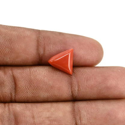 Red Coral (Moonga) Carat 3.97