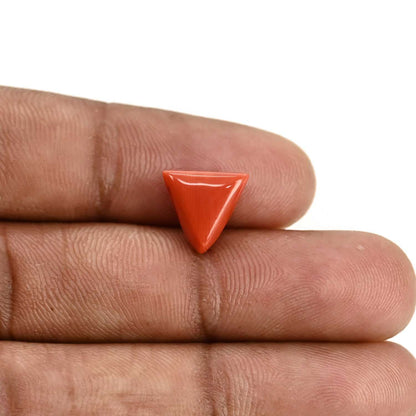 Red Coral (Moonga) Carat 3.97