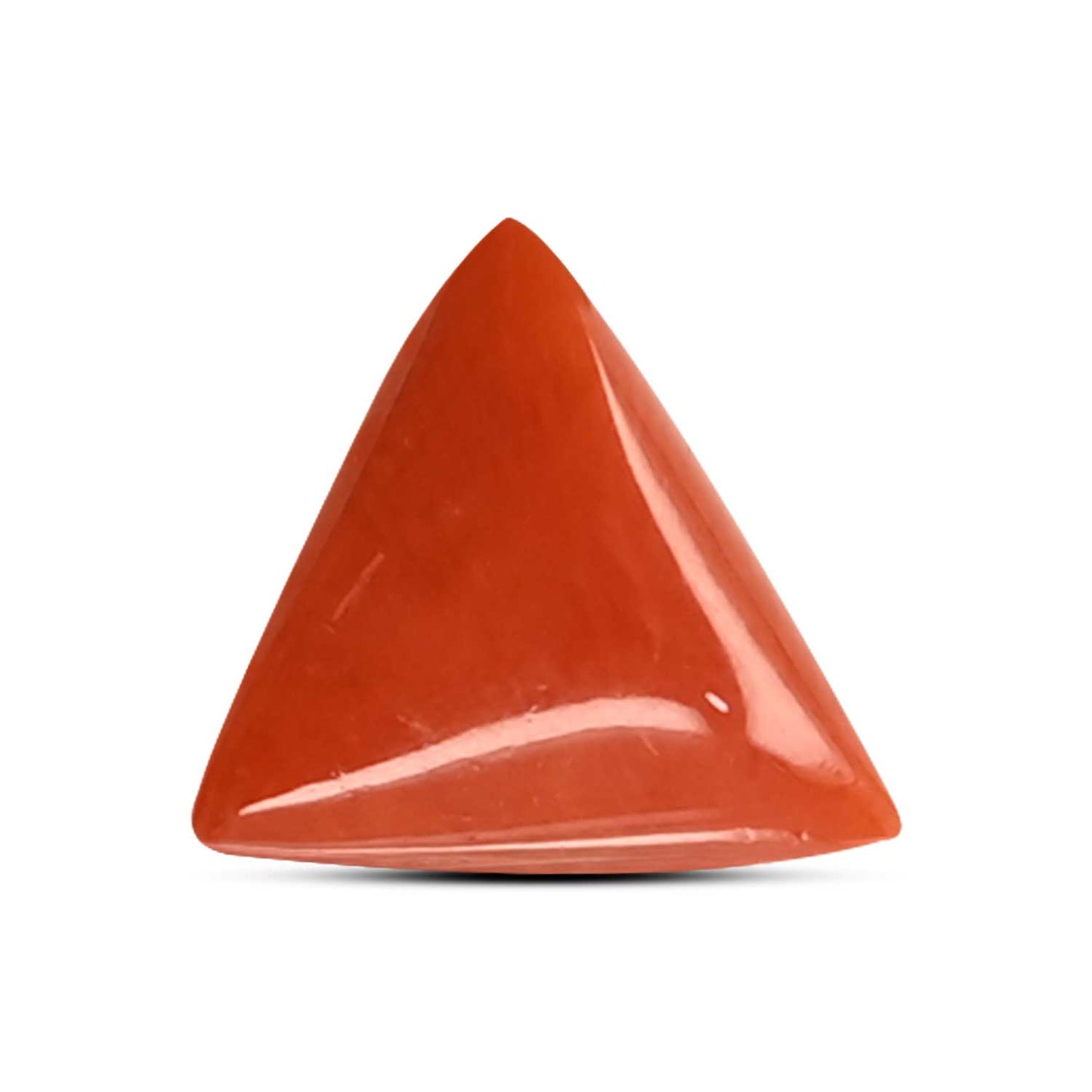 Red Coral (Moonga) Carat 4.08