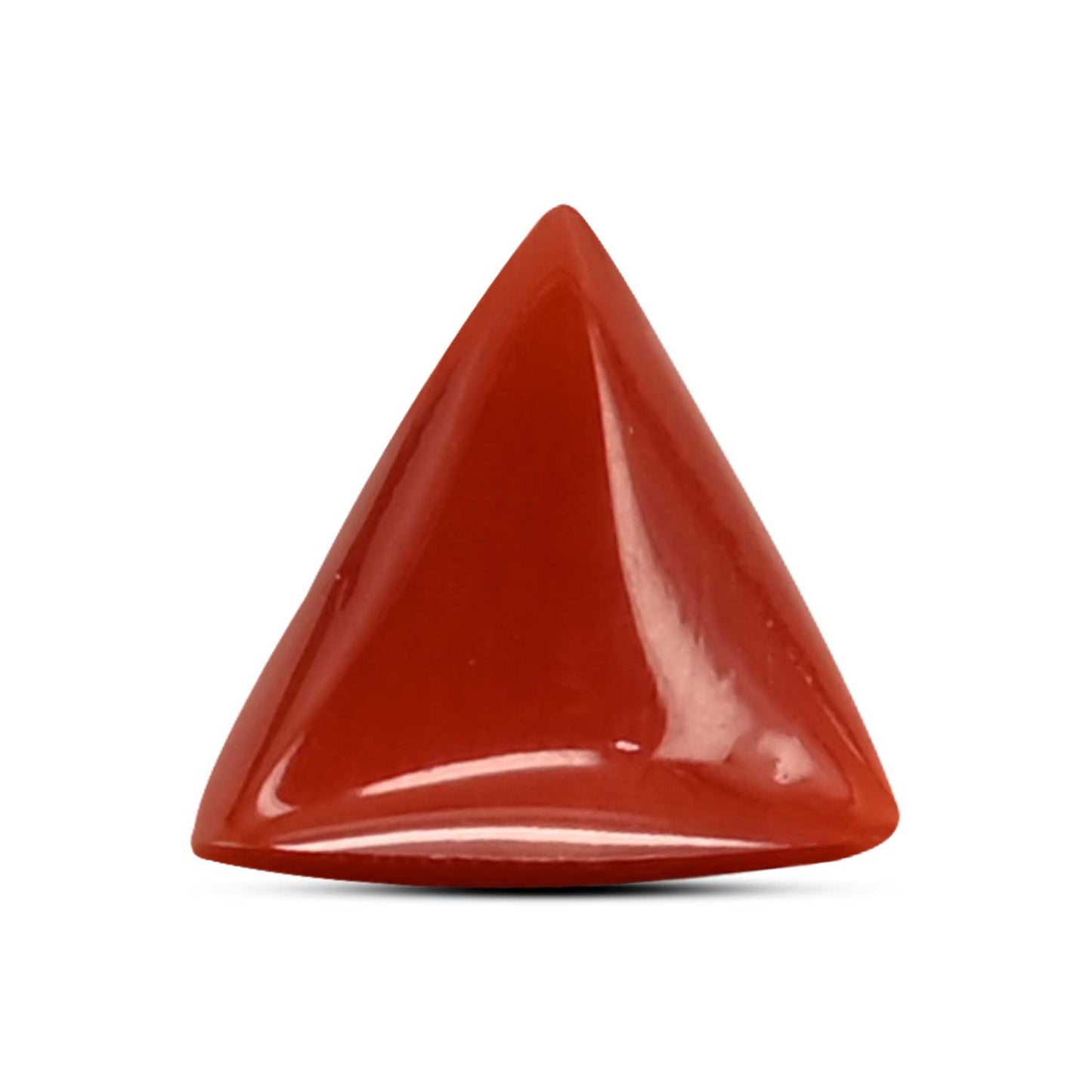 Red Coral (Moonga) Carat 3.73