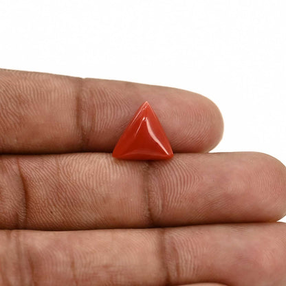 Red Coral (Moonga) Carat 3.73