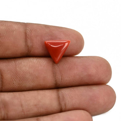 Red Coral (Moonga) Carat 3.73
