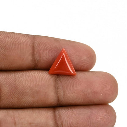 Red Coral (Moonga) Carat 3.99