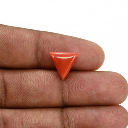 Red Coral (Moonga) Carat 3.99