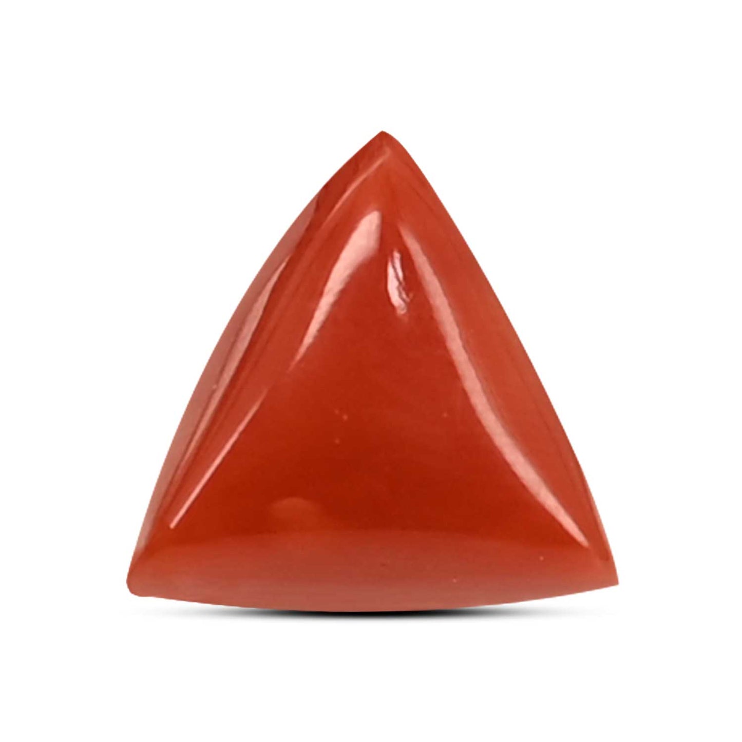 Red Coral (Moonga) Carat 4.26
