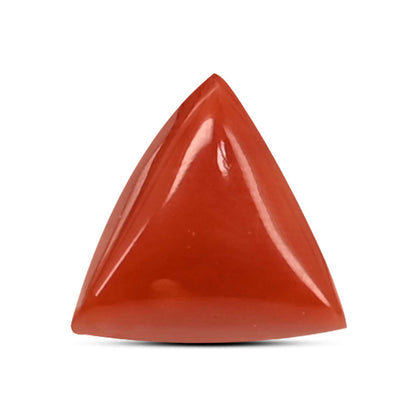 Red Coral (Moonga) Carat 4.26