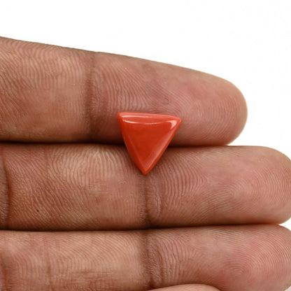 Red Coral (Moonga) Carat 4.26