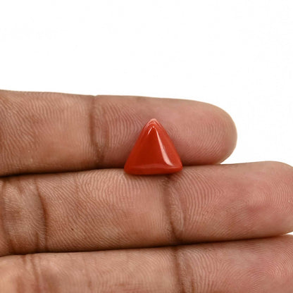Red Coral (Moonga) Carat 4.1