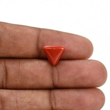 Red Coral (Moonga) Carat 4.1