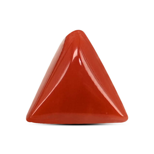Red Coral (Moonga) Carat 3.88