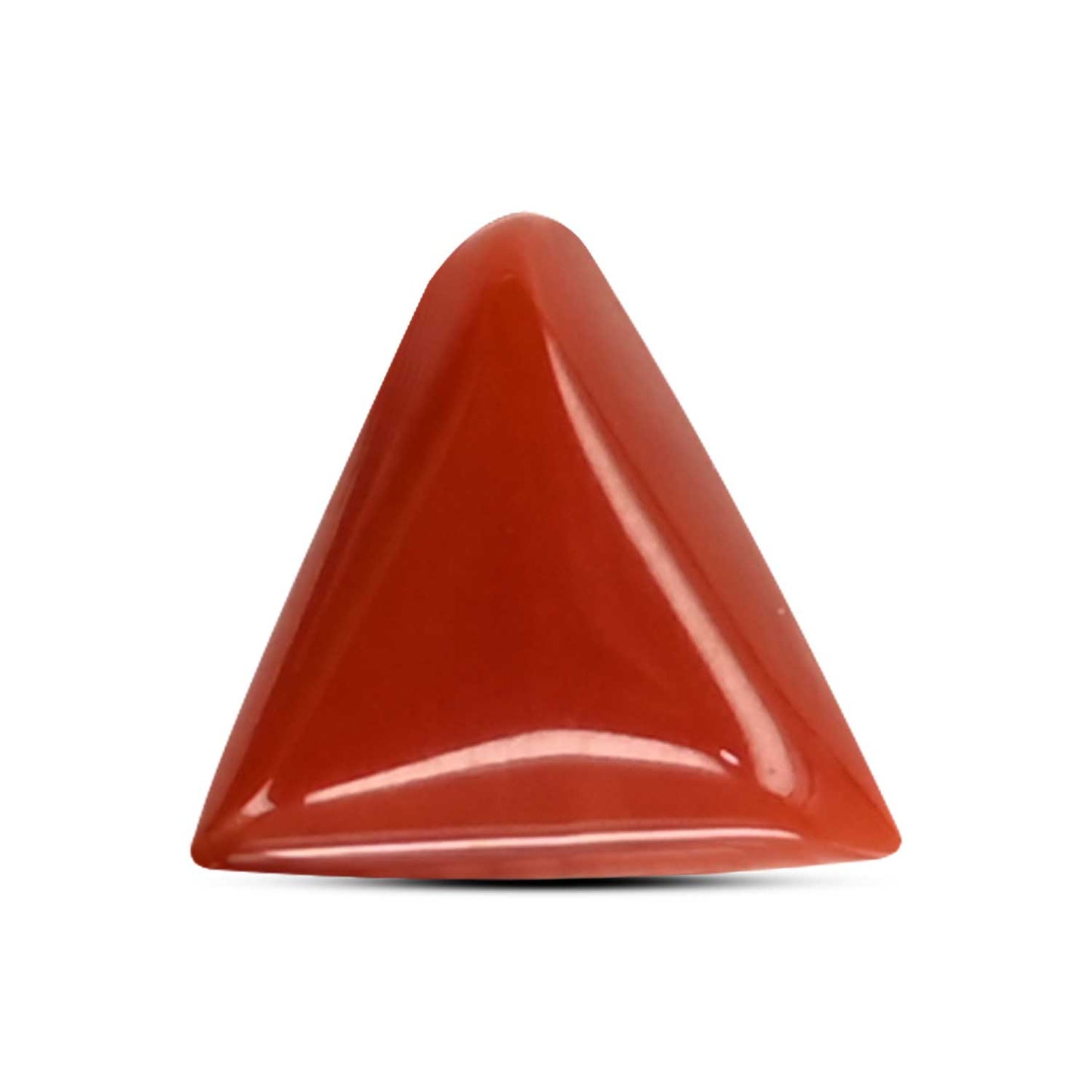 Red Coral (Moonga) Carat 3.88