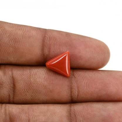 Red Coral (Moonga) Carat 3.88