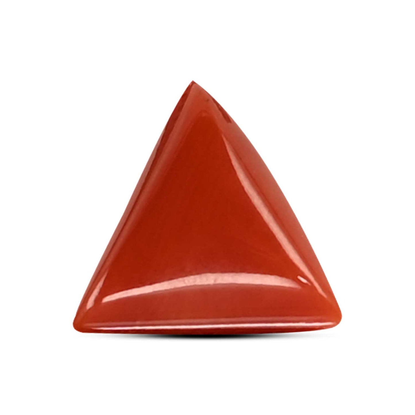 Red Coral (Moonga) Carat 3.52