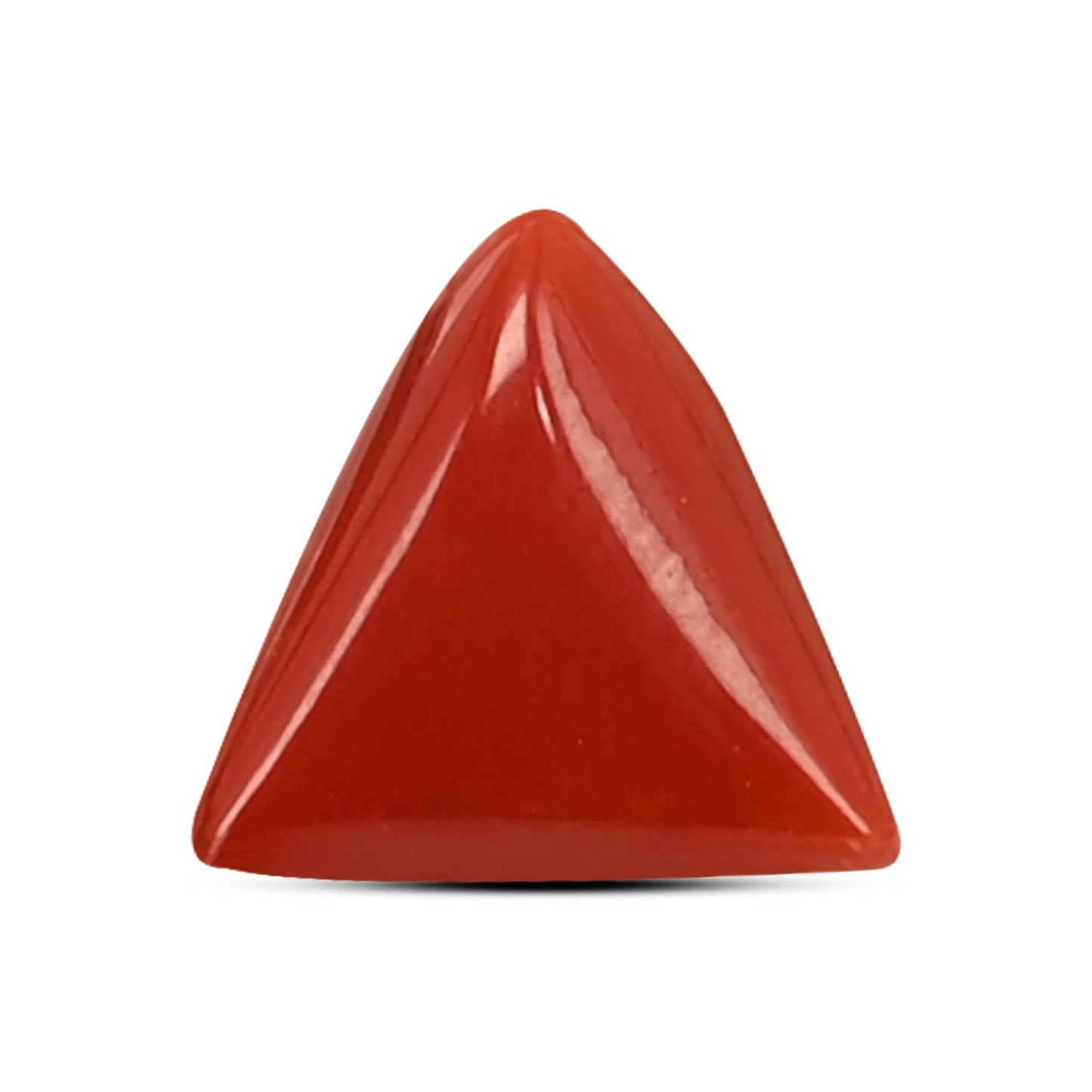 Red Coral (Moonga) Carat 4.07