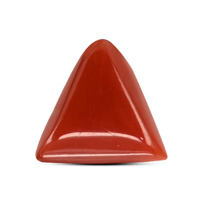 Red Coral (Moonga) Carat 4.07