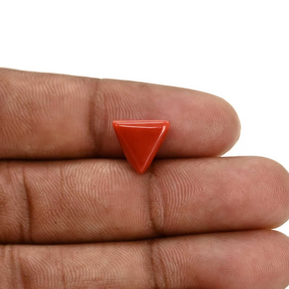 Red Coral (Moonga) Carat 4.07