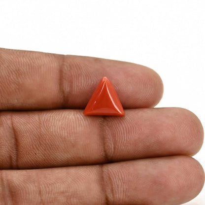 Red Coral (Moonga) Carat 3.95
