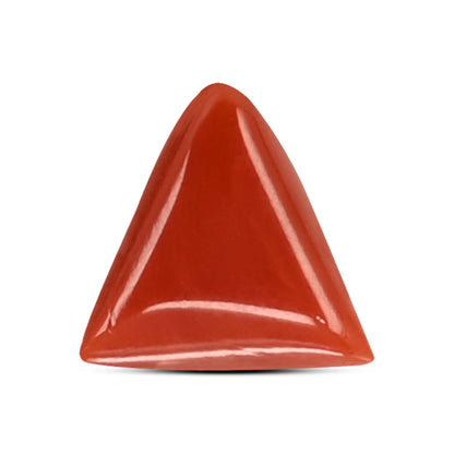 Red Coral (Moonga) Carat 3.8