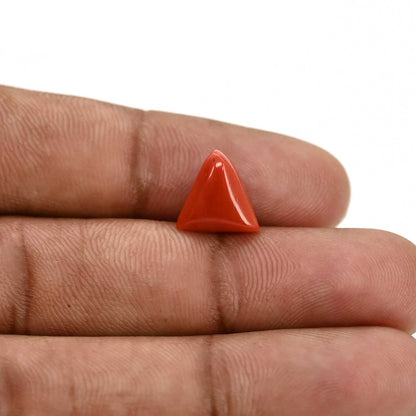 Red Coral (Moonga) Carat 3.8