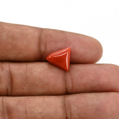 Red Coral (Moonga) Carat 3.8