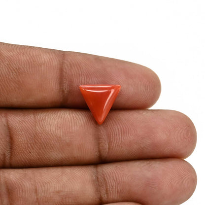 Red Coral (Moonga) Carat 3.64