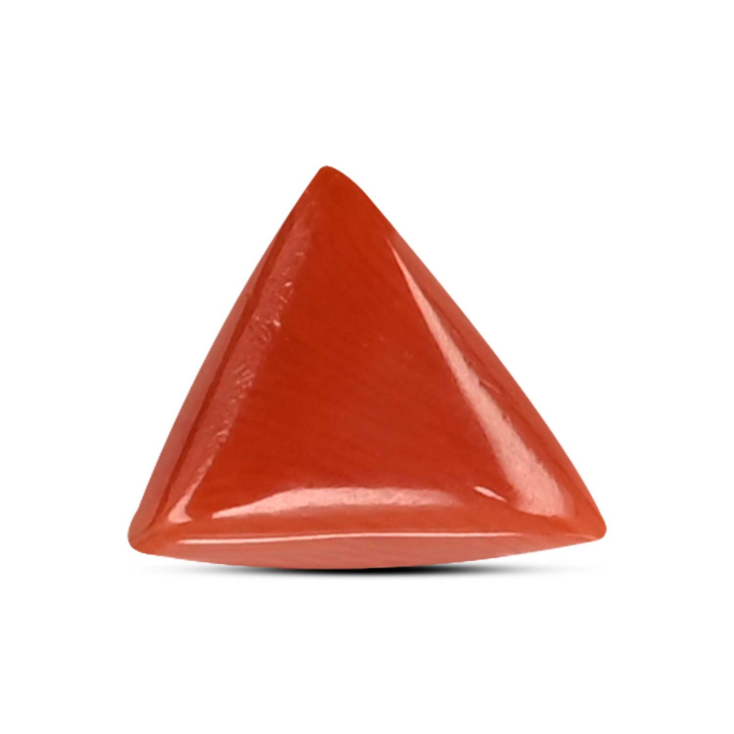 Red Coral (Moonga) Carat 3.23