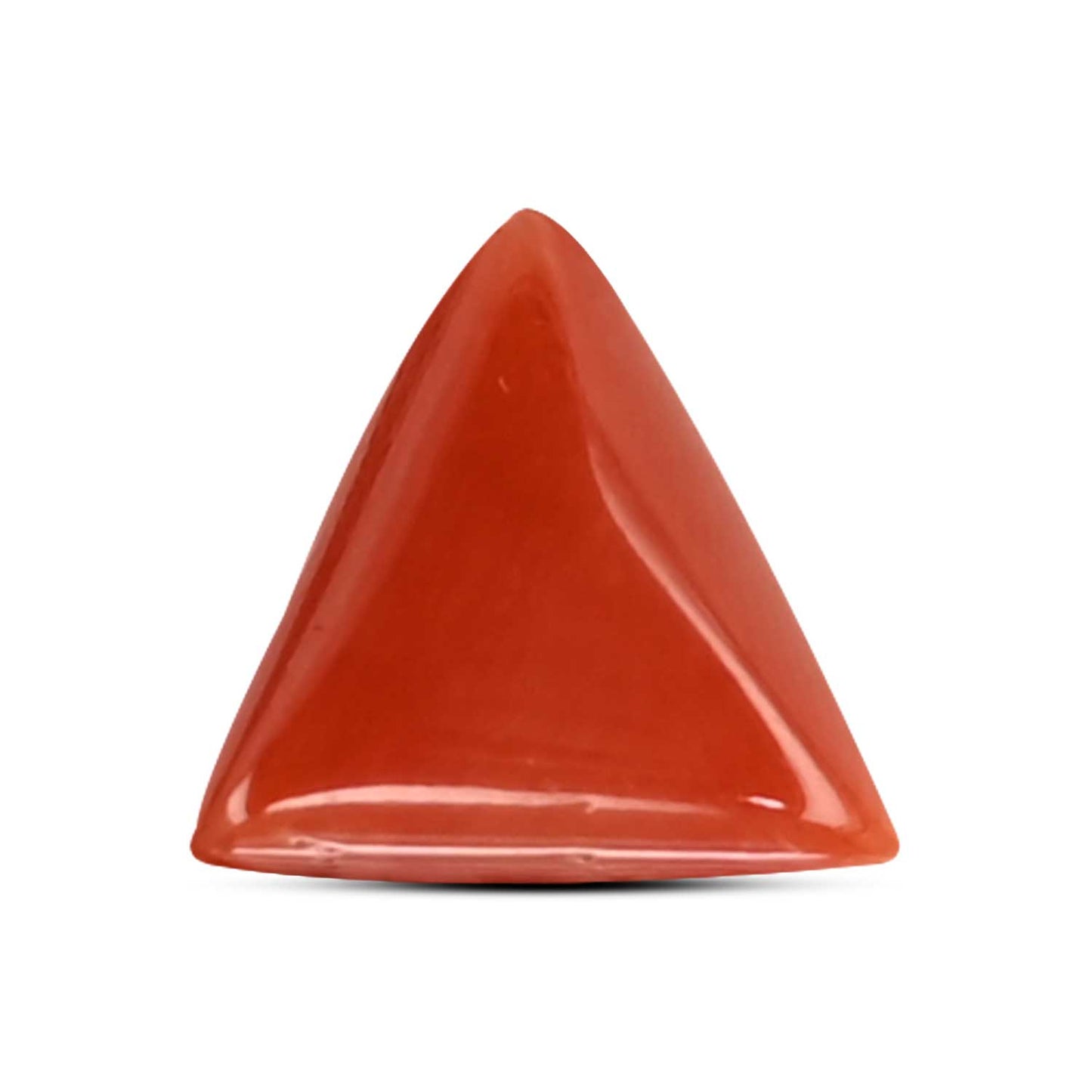 Red Coral (Moonga) Carat 3.3