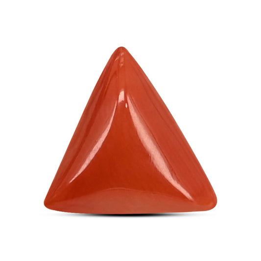 Red Coral (Moonga) Carat 4.04