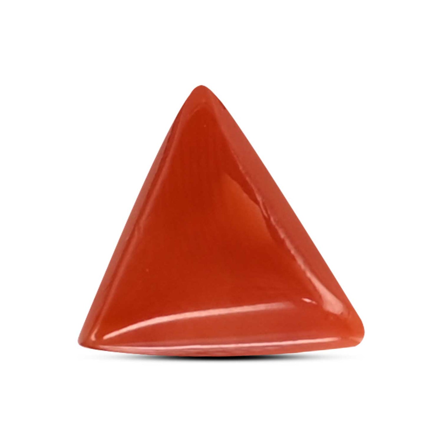 Red Coral (Moonga) Carat 4.04