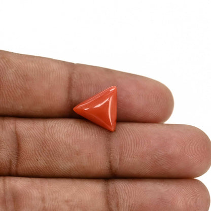 Red Coral (Moonga) Carat 4.04