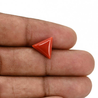 Red Coral (Moonga) Carat 3.59 - CTR16541359