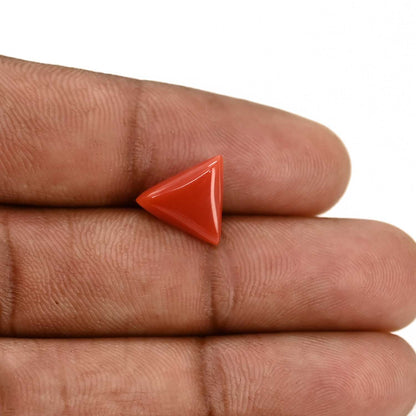 Red Coral (Moonga) Carat 3.59